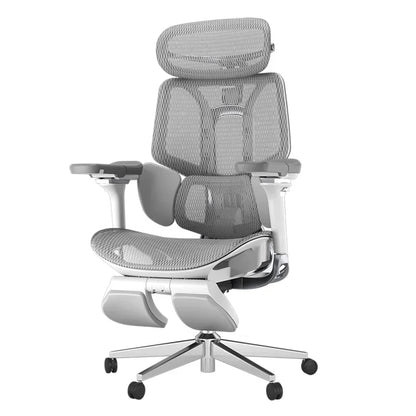 Ergonomic Office/Gaming Chair